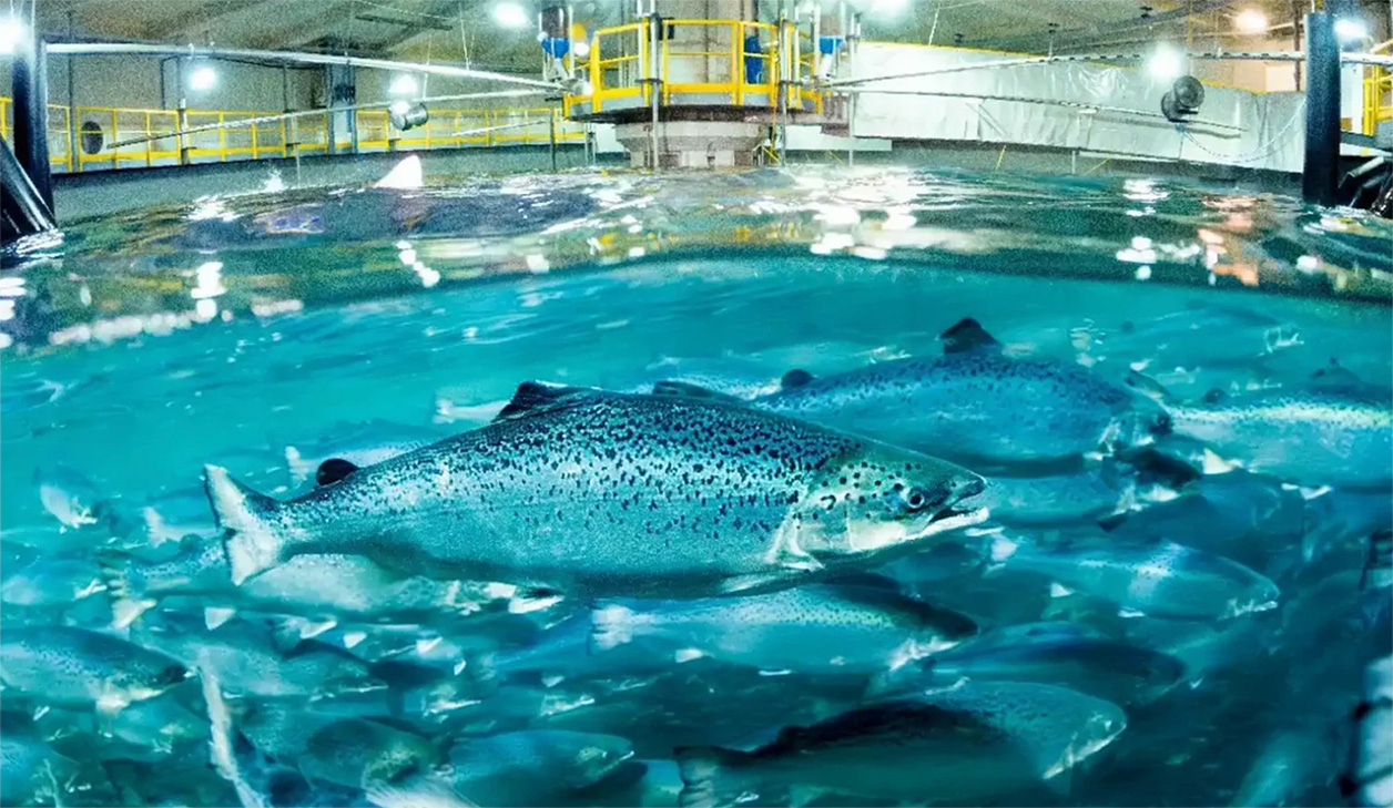 Tanks for land-based fish farms and aquaculture - Sotanks